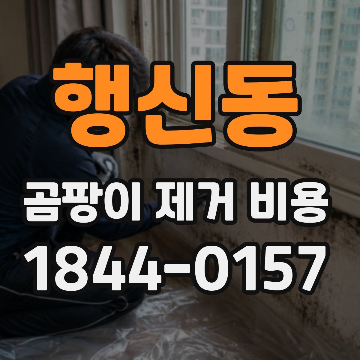행신동 곰팡이 제거 비용