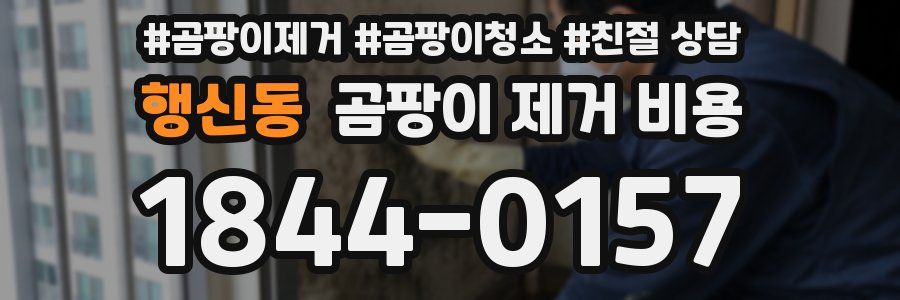 행신동 곰팡이 제거 비용