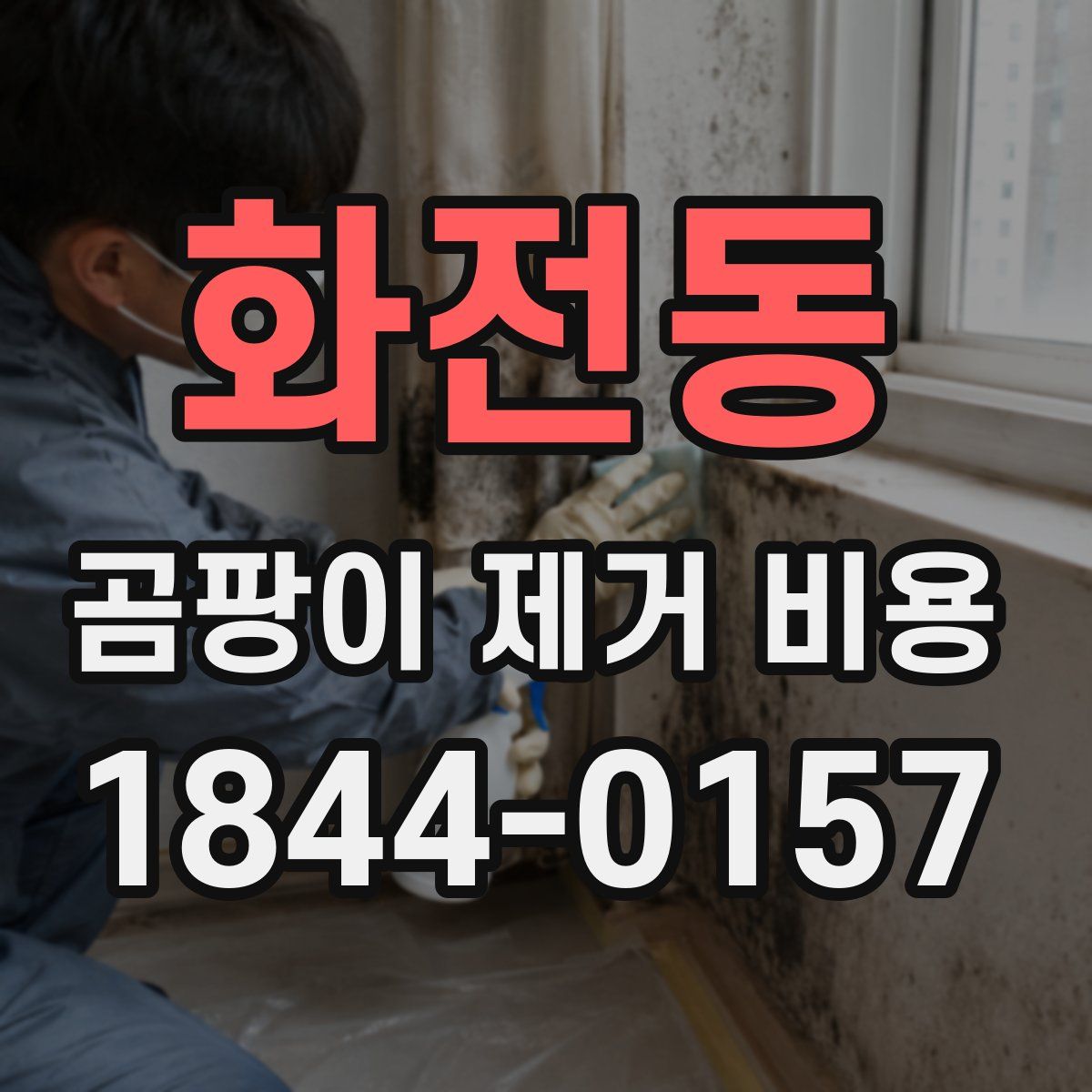 화전동 곰팡이 제거 비용