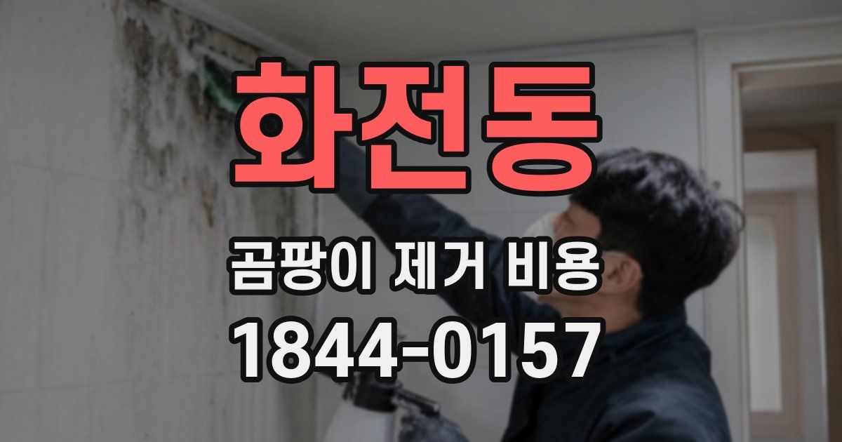 화전동 곰팡이 제거 비용