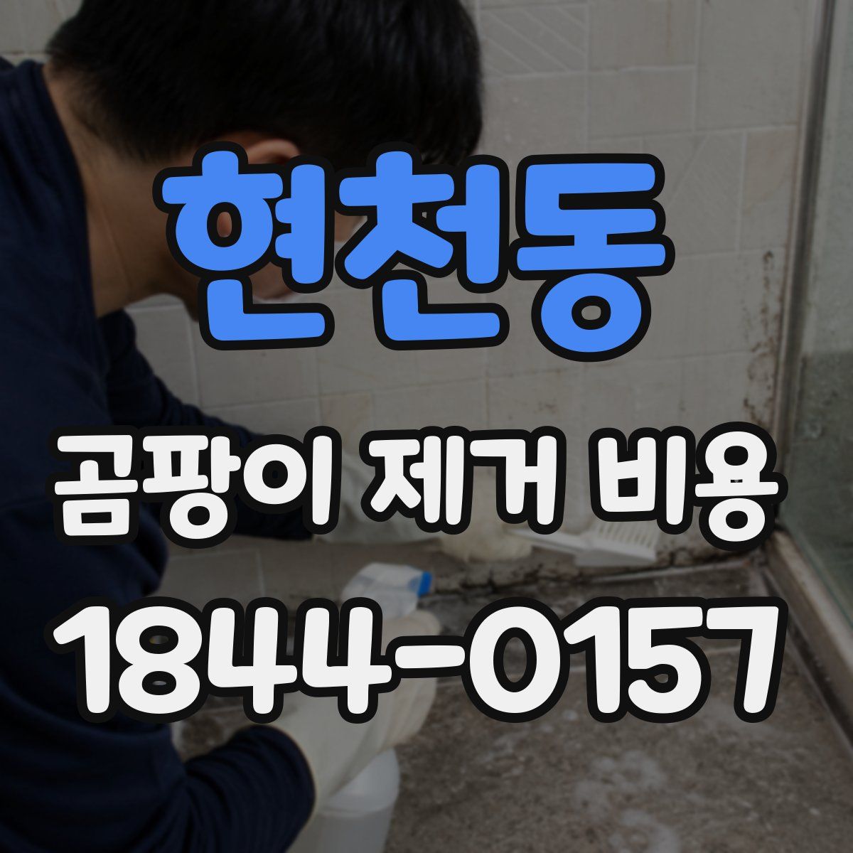 현천동 곰팡이 제거 비용