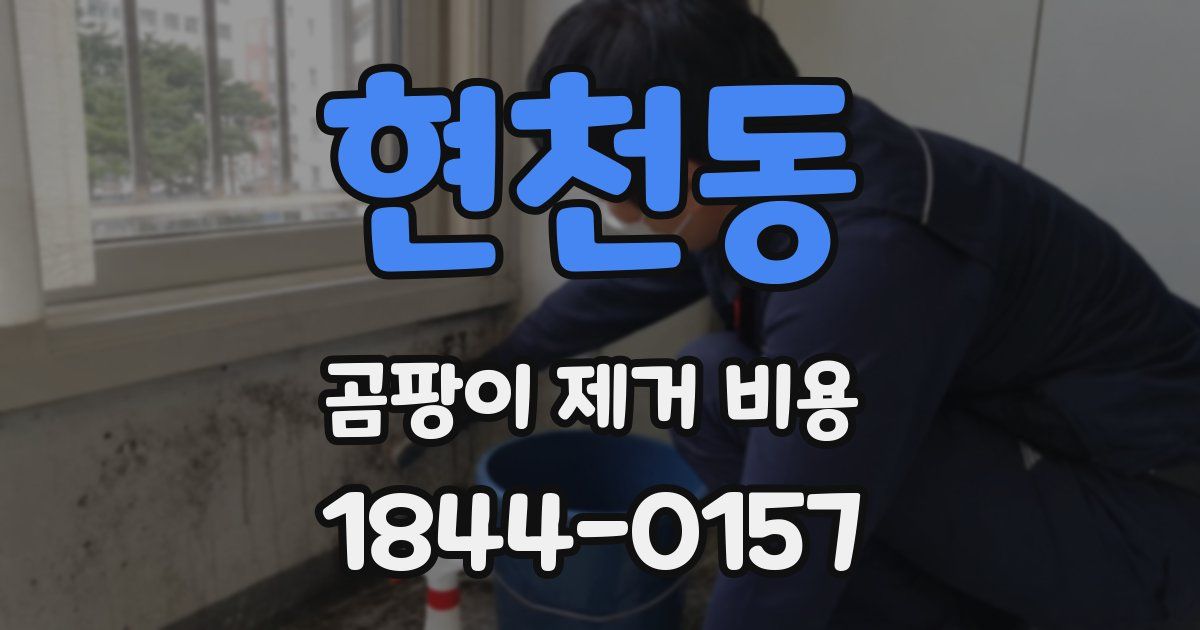 현천동 곰팡이 제거 비용