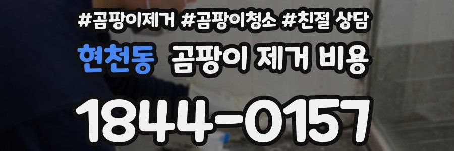현천동 곰팡이 제거 비용