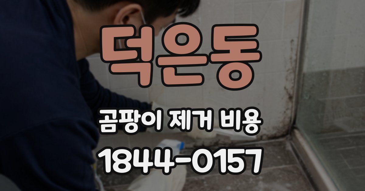 덕은동 곰팡이 제거 비용
