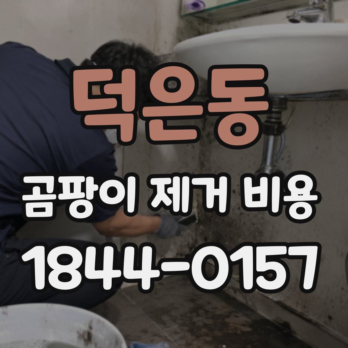 덕은동 곰팡이 제거 비용