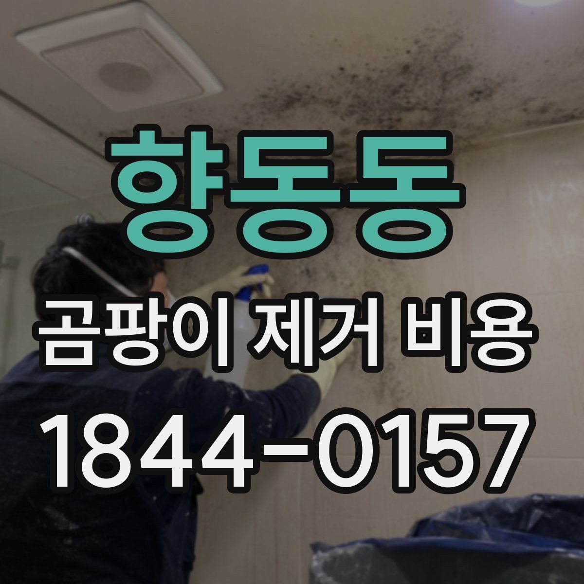 향동동 곰팡이 제거 비용 재발 가능성을 낮추는 점검 포인트