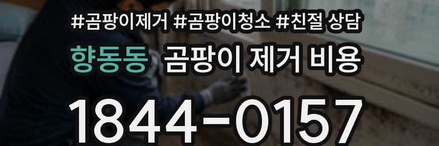 향동동 곰팡이 제거 비용