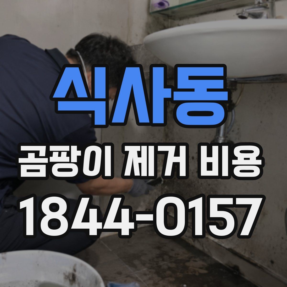 식사동 곰팡이 제거 비용 셀프 작업과 전문 시공의 차이