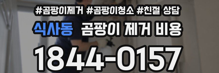식사동 곰팡이 제거 비용