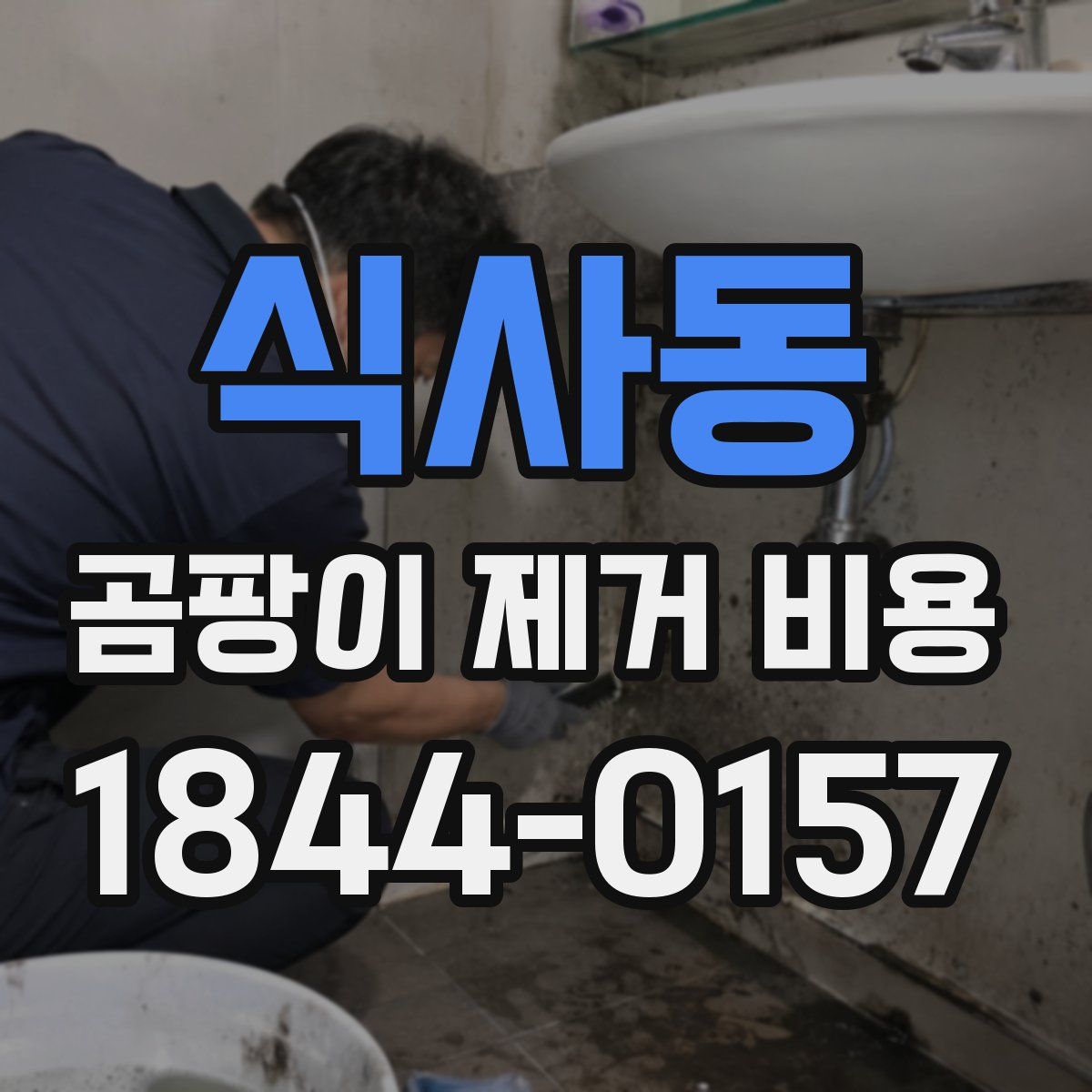 식사동 곰팡이 제거 비용