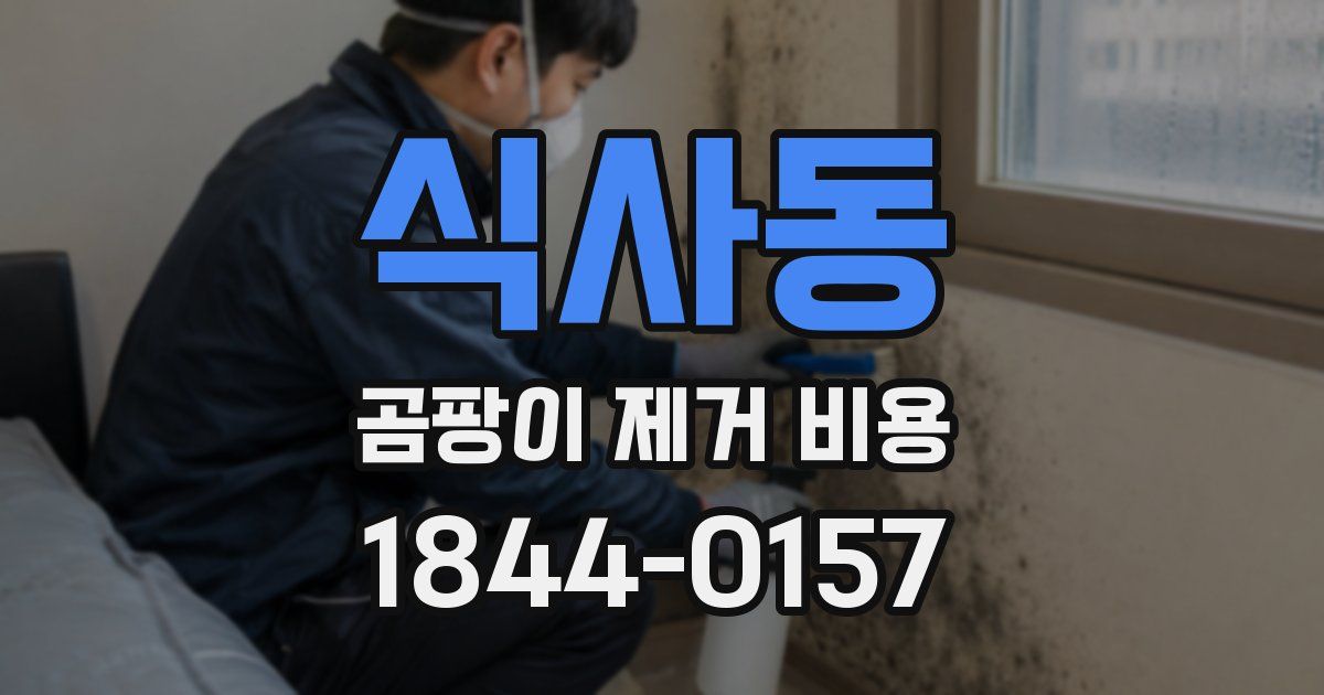 식사동 곰팡이 제거 비용