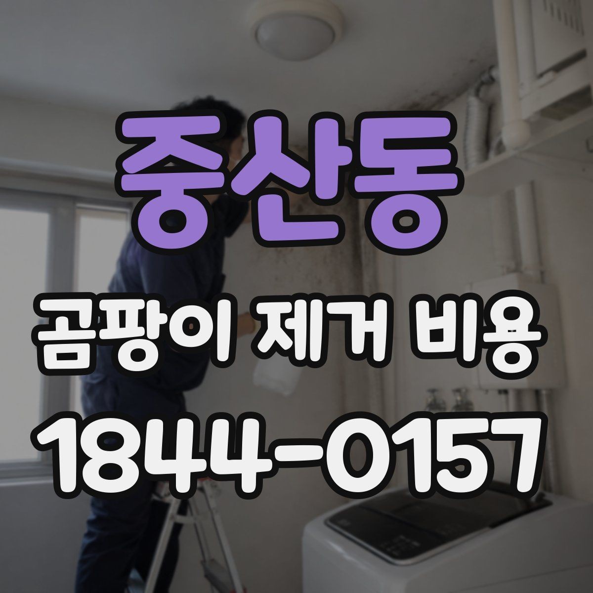 중산동 곰팡이 제거 비용 상담에서 빠지기 쉬운 항목