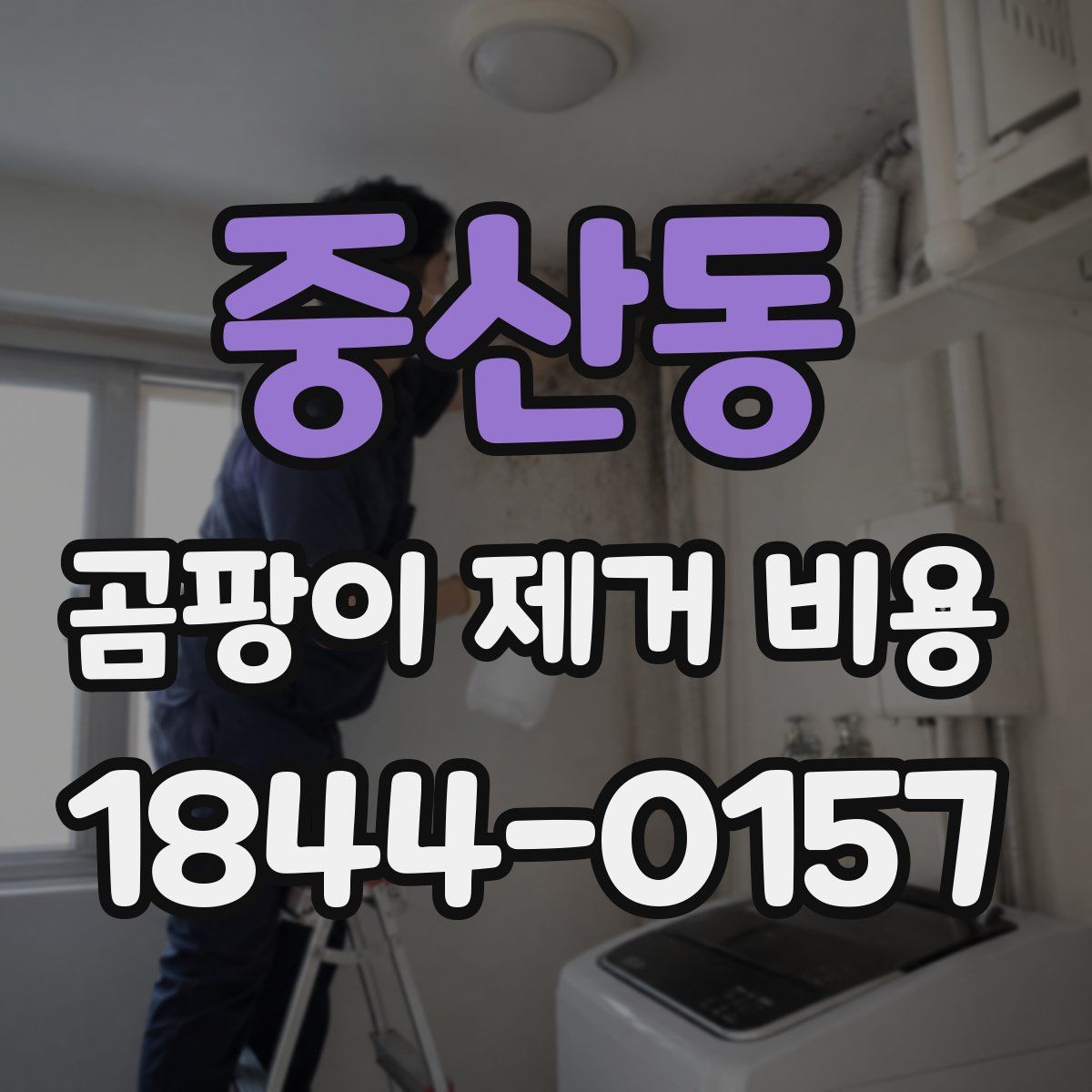 중산동 곰팡이 제거 비용