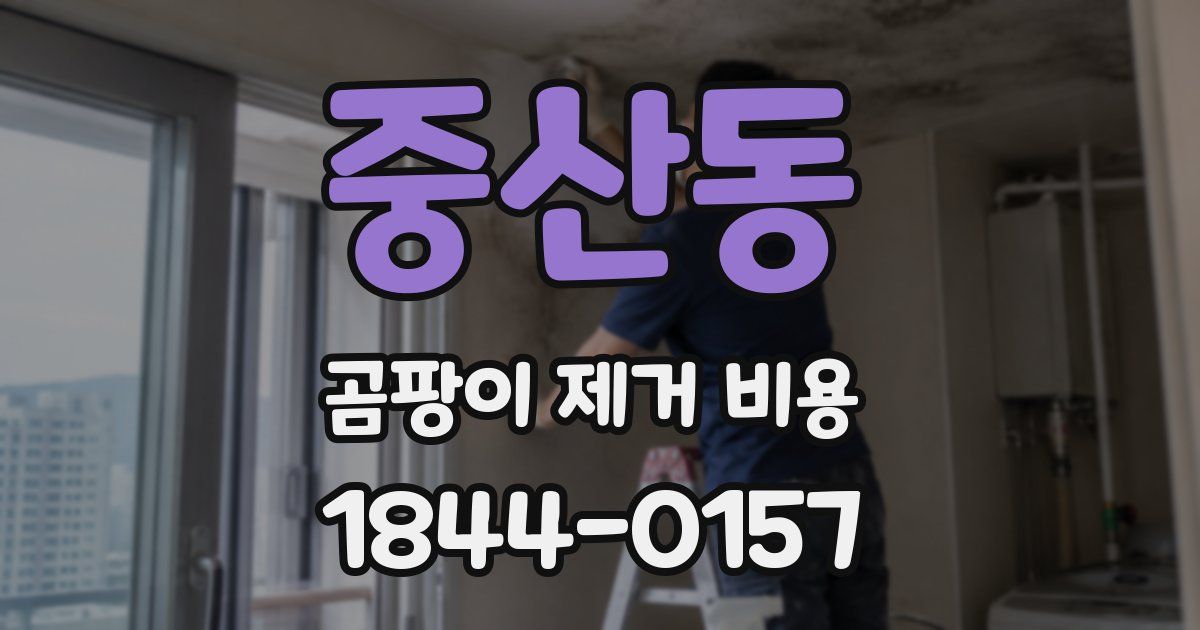 중산동 곰팡이 제거 비용