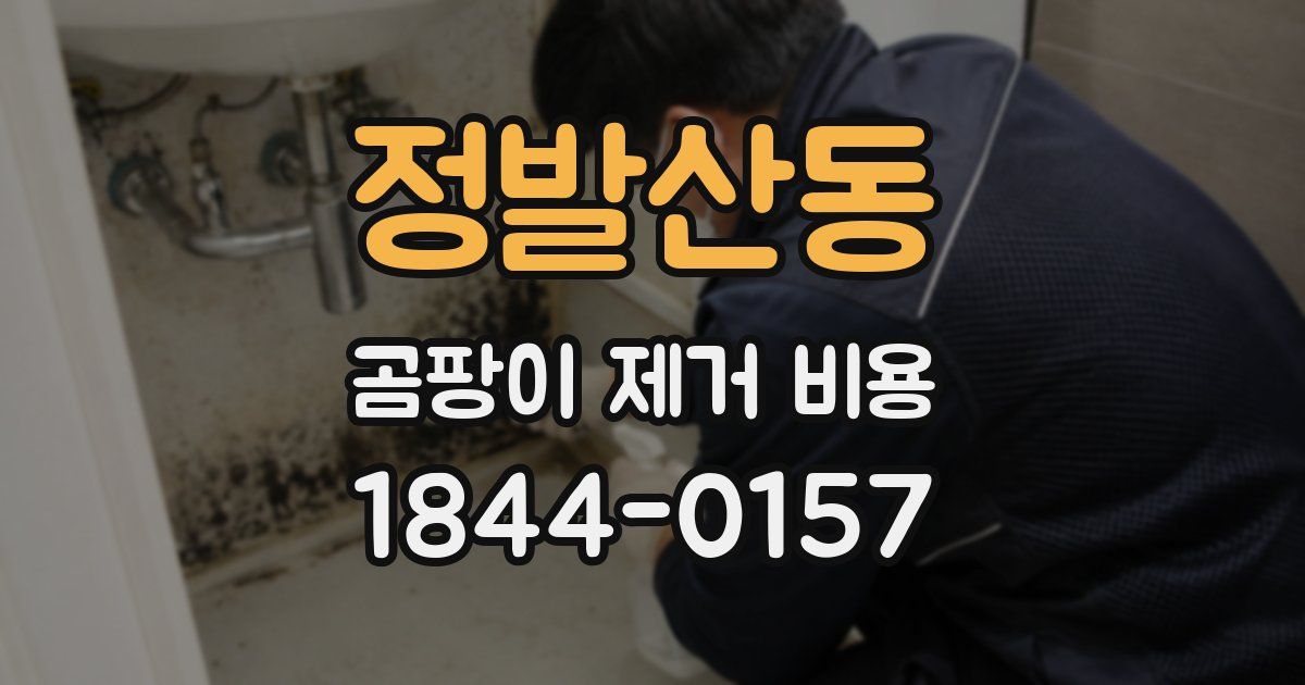 정발산동 곰팡이 제거 비용