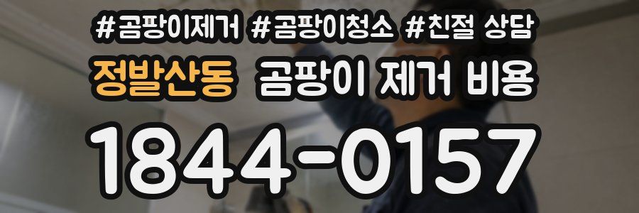 정발산동 곰팡이 제거 비용