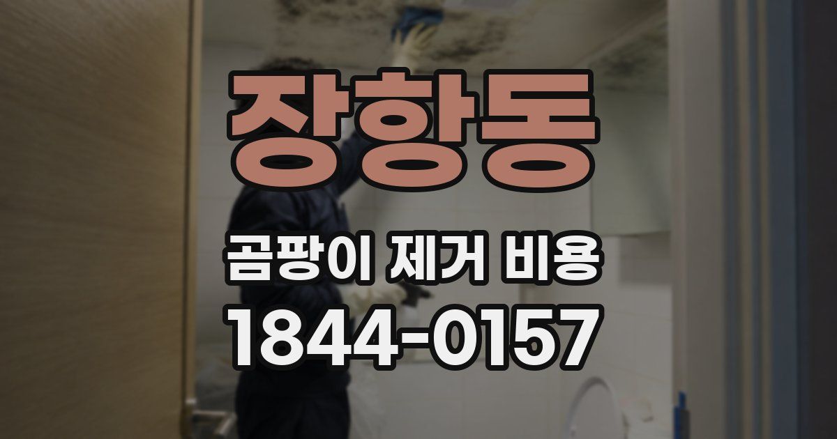장항동 곰팡이 제거 비용