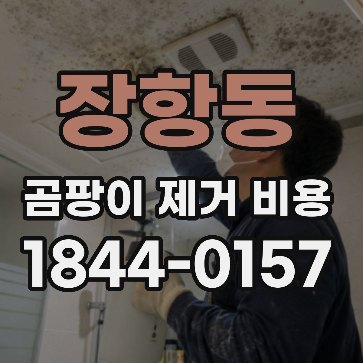 장항동 곰팡이 제거 비용
