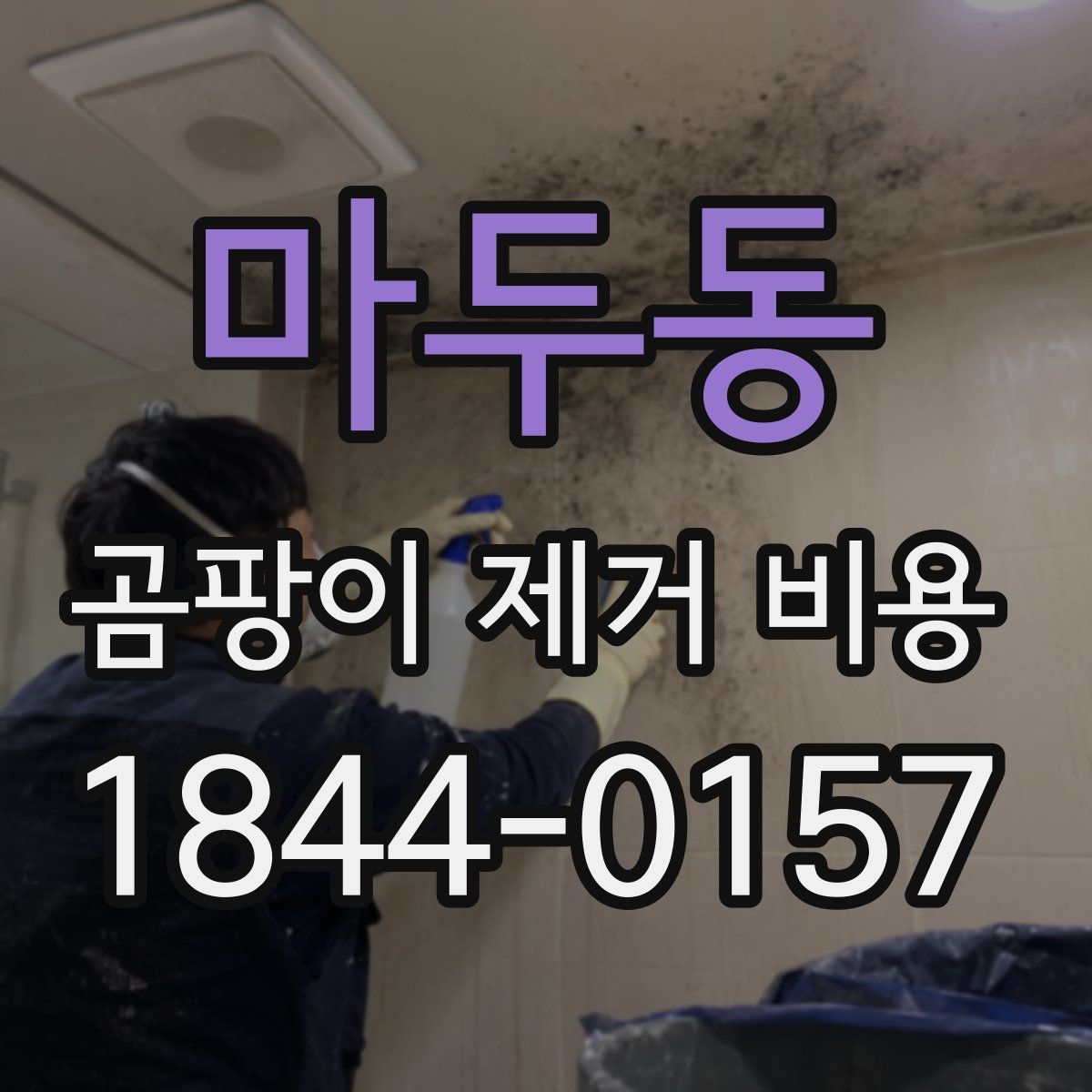 마두동 곰팡이 제거 비용