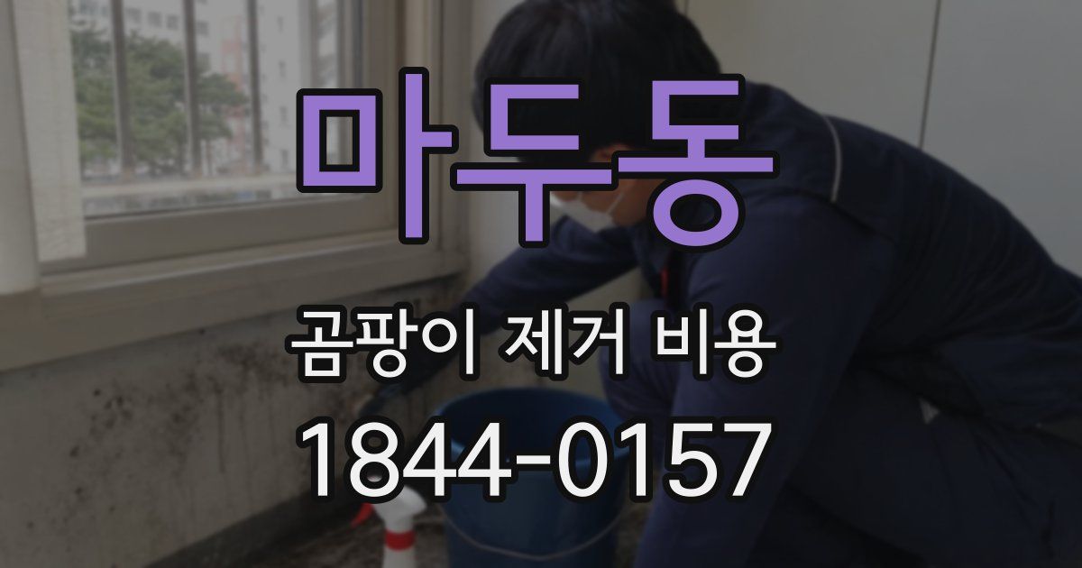 마두동 곰팡이 제거 비용