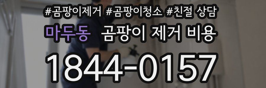 마두동 곰팡이 제거 비용