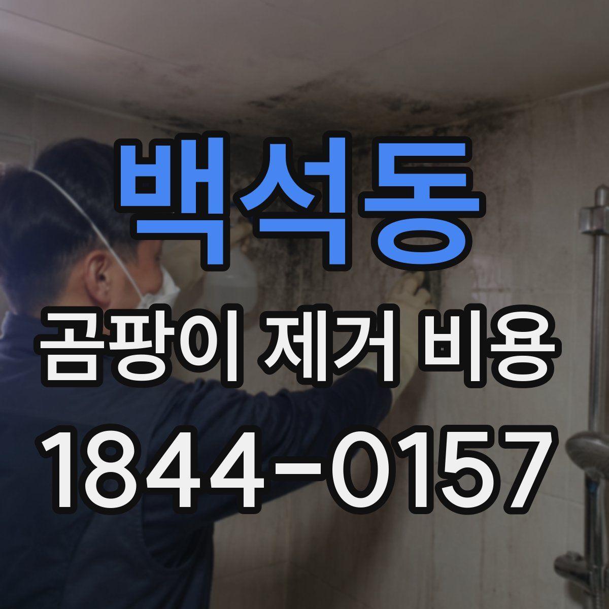 백석동 곰팡이 제거 비용