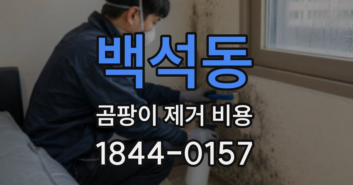 백석동 곰팡이 제거 비용