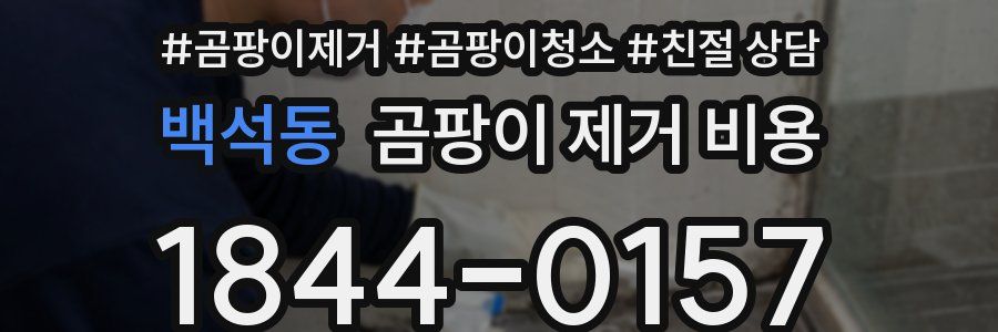 백석동 곰팡이 제거 비용