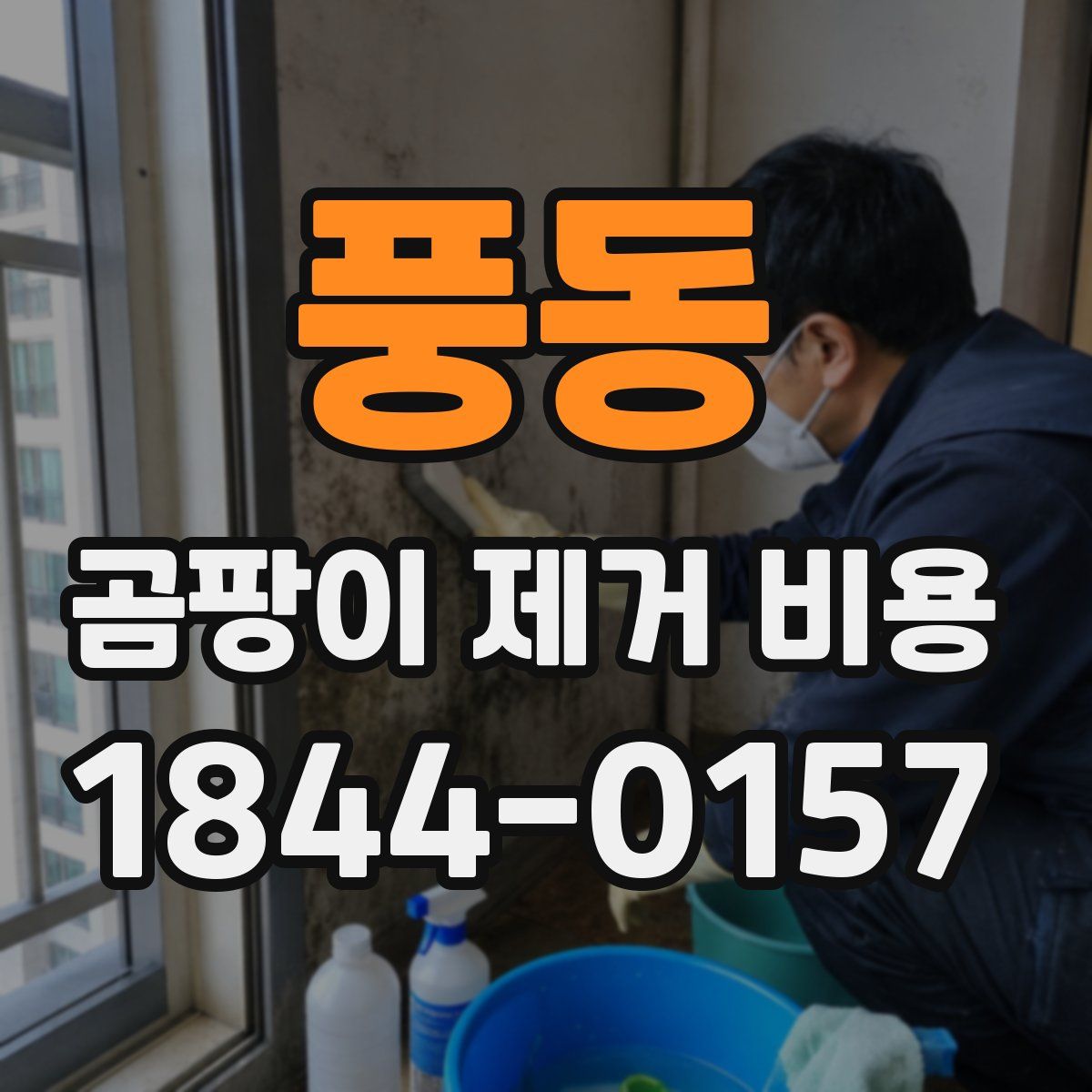 풍동 곰팡이 제거 비용