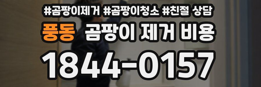 풍동 곰팡이 제거 비용