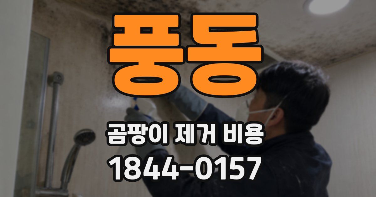 풍동 곰팡이 제거 비용