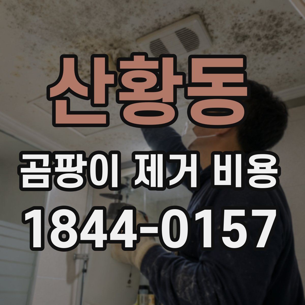 산황동 곰팡이 제거 비용 원인 해결과 표면 처리의 차이