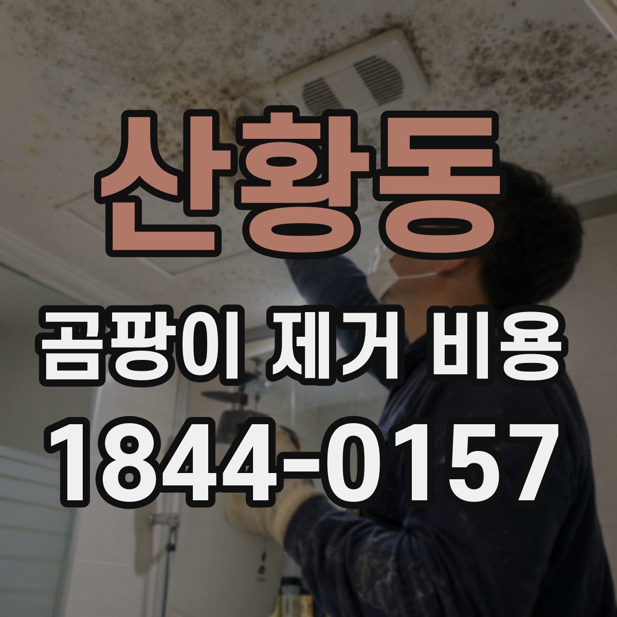 산황동 곰팡이 제거 비용