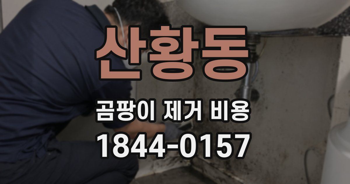 산황동 곰팡이 제거 비용