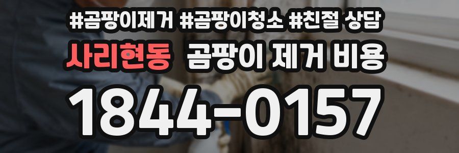 사리현동 곰팡이 제거 비용