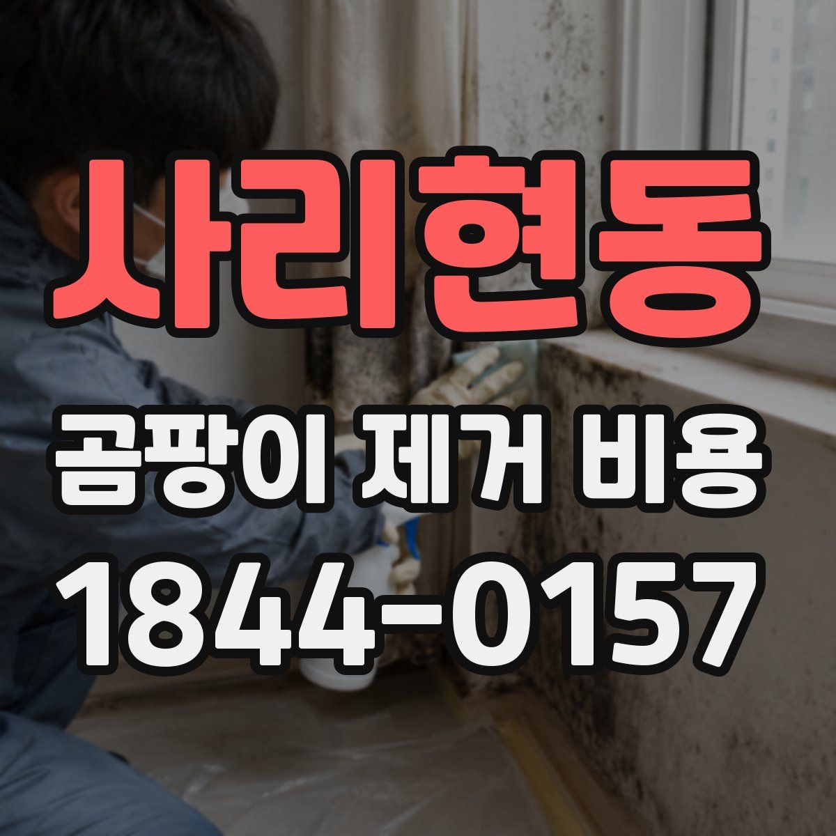 사리현동 곰팡이 제거 비용