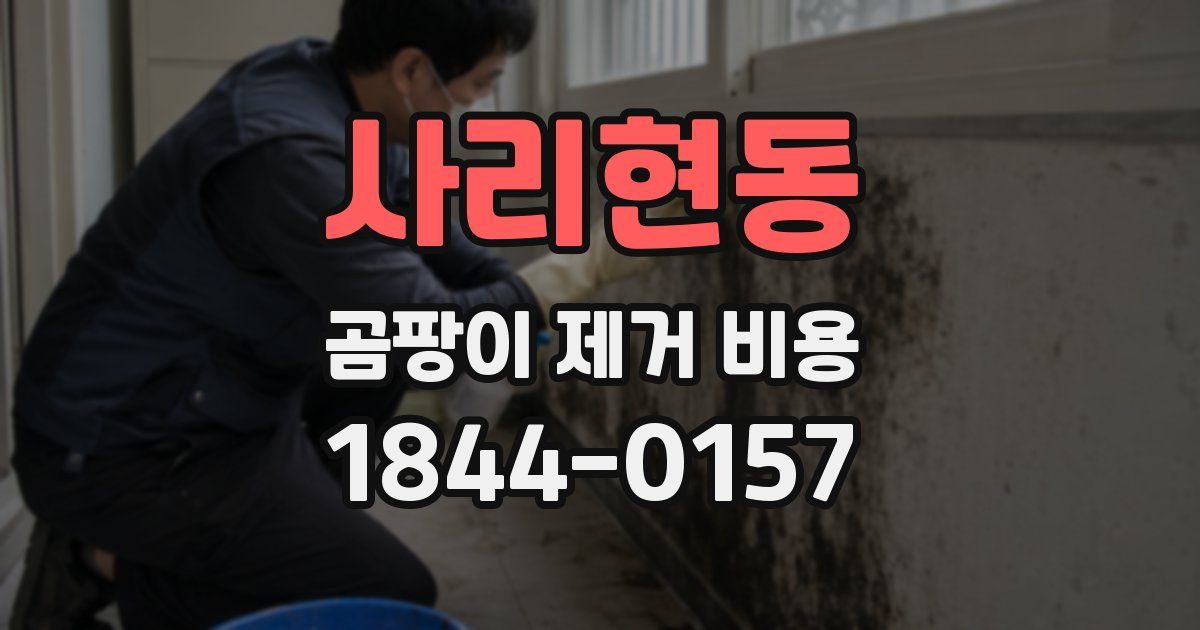 사리현동 곰팡이 제거 비용