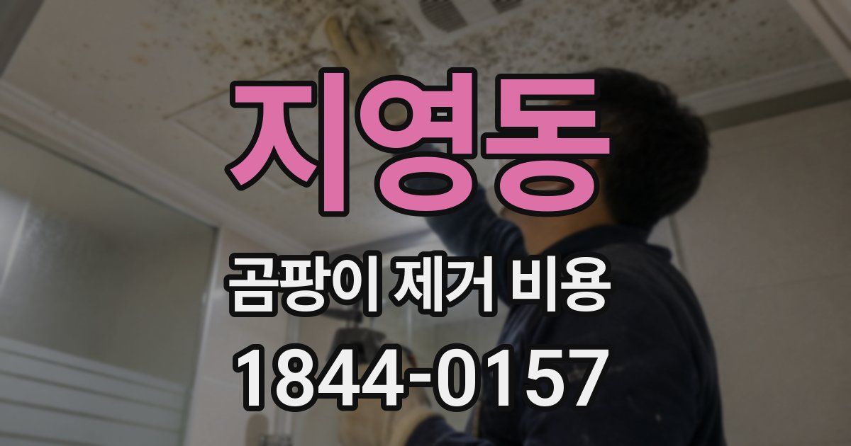 지영동 곰팡이 제거 비용