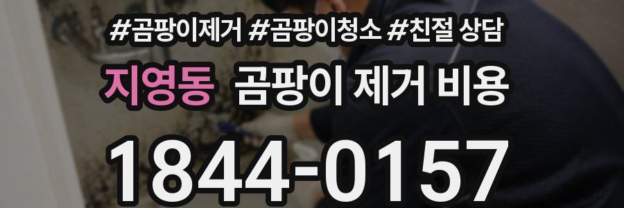 지영동 곰팡이 제거 비용