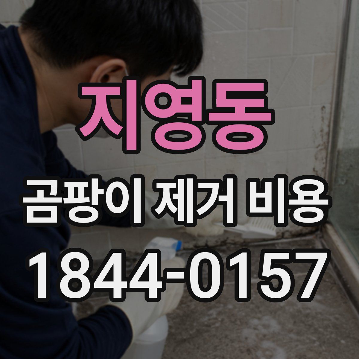 지영동 곰팡이 제거 비용