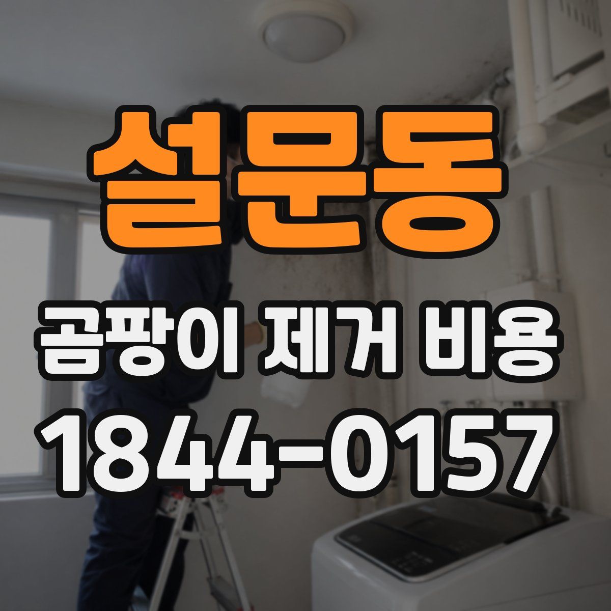 설문동 곰팡이 제거 비용