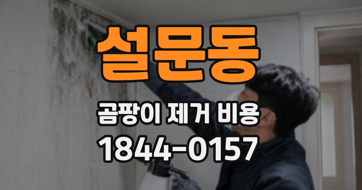 설문동 곰팡이 제거 비용