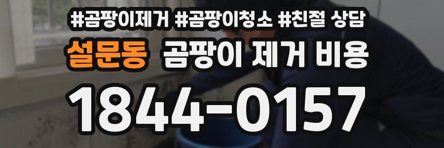 설문동 곰팡이 제거 비용