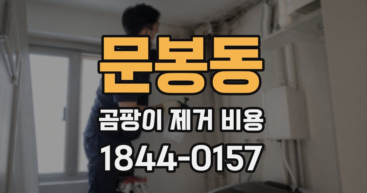 문봉동 곰팡이 제거 비용
