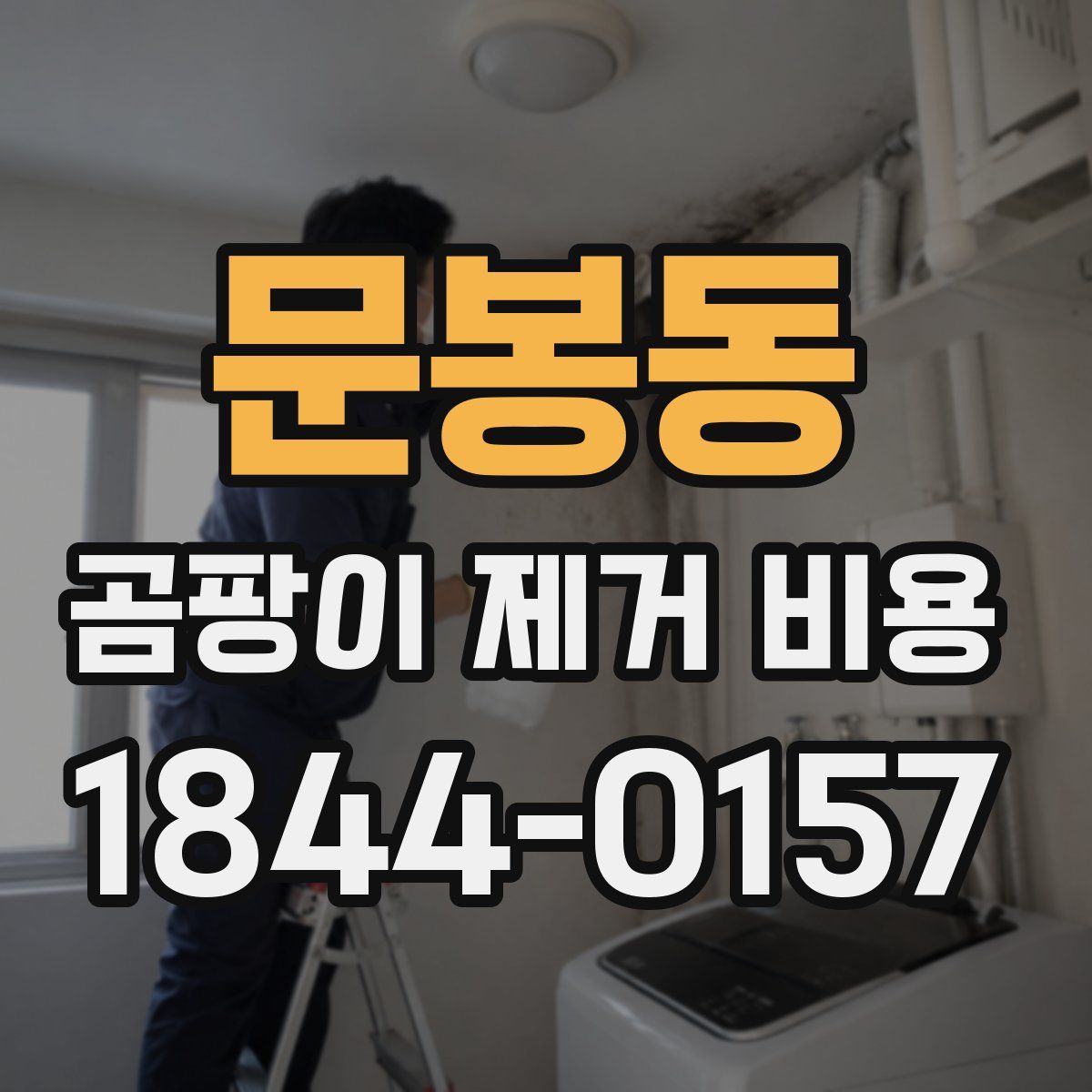 문봉동 곰팡이 제거 비용