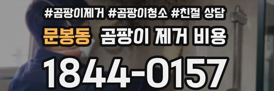 문봉동 곰팡이 제거 비용