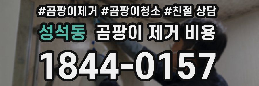 성석동 곰팡이 제거 비용