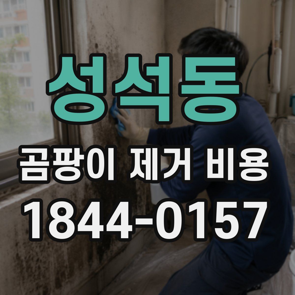 성석동 곰팡이 제거 비용