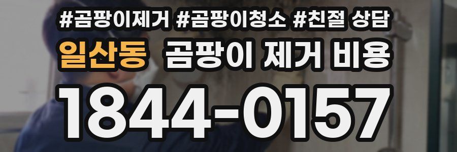 일산동 곰팡이 제거 비용