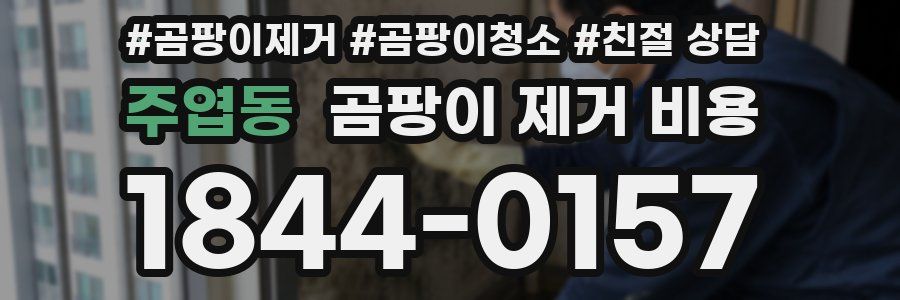 주엽동 곰팡이 제거 비용